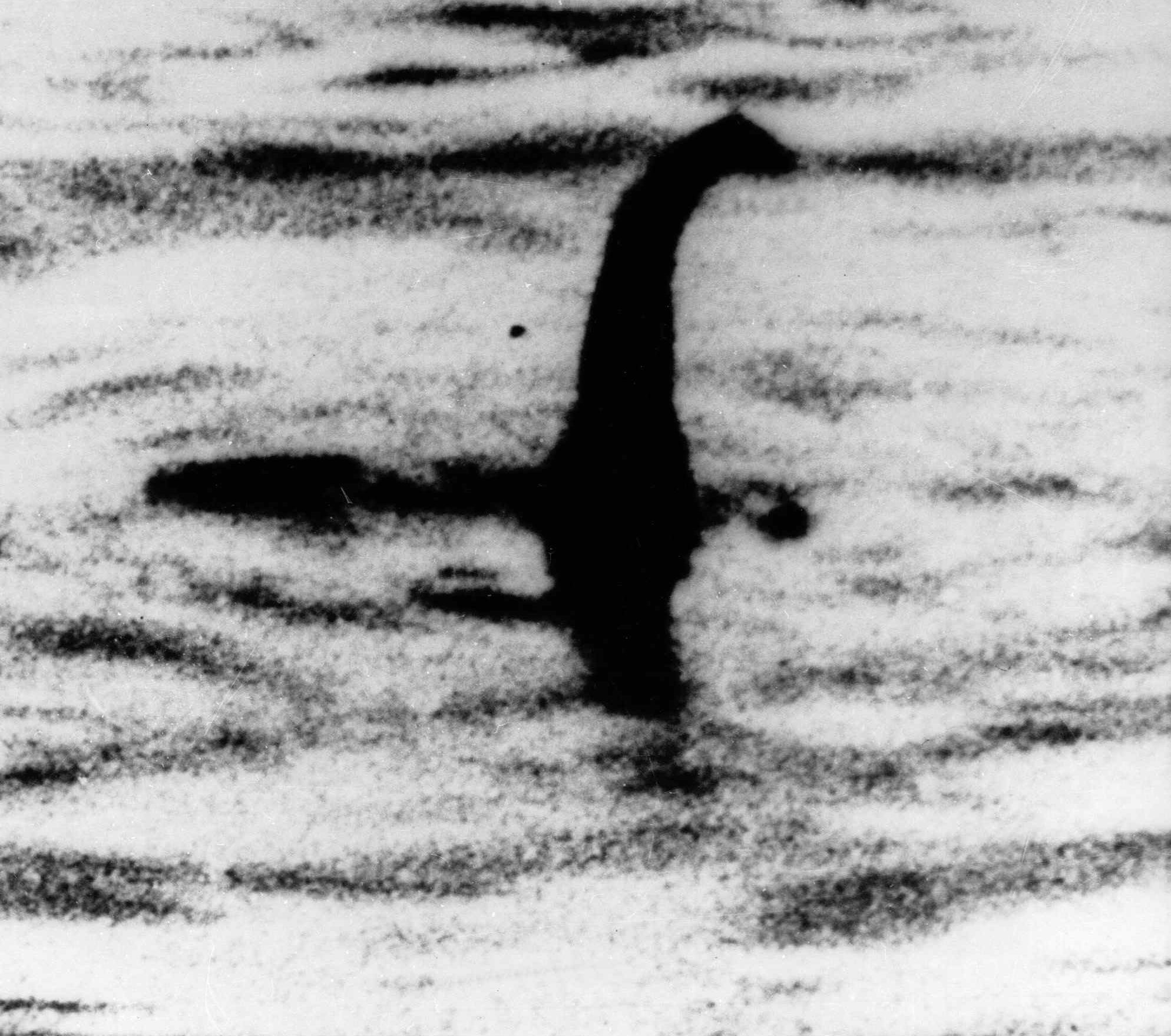 Bessie (lake monster)