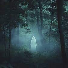 Ghost Encounter
